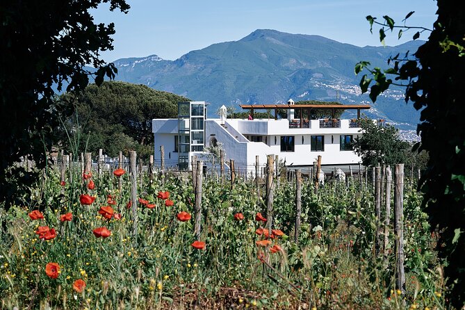 Private Tour Ercolano Ruines and Wine Tour Tasting - Pickup Information