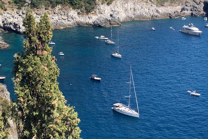 Private Tour | From Naples, Pompeii Ruins to Sorrento With Driver - Pricing and Reservations