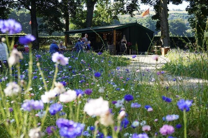 Private Tour - Irish Walled Garden, Nature & Giants Causeway - Frequently Asked Questions