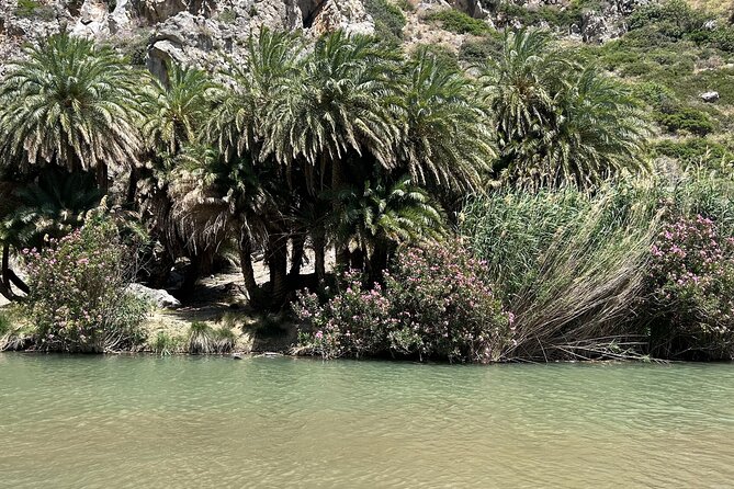 Private Tour Kourtaliotiko Gorge and Preveli Beach /Chania - Contact and Booking Information