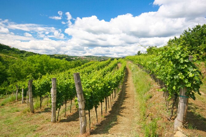 Private Tour of Goriska Brda Wine Hills From Ljubljana - Tour Highlights and Activities
