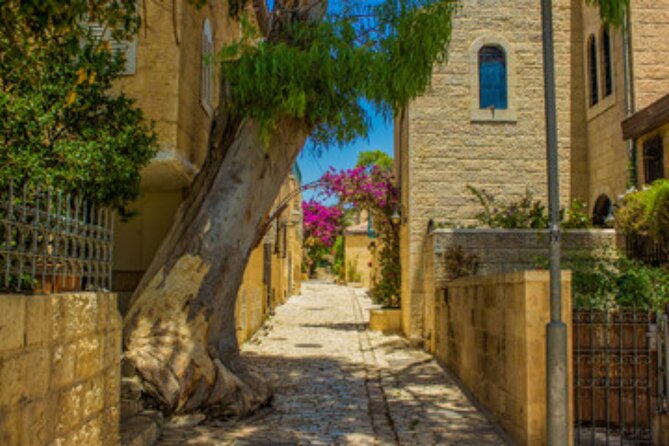Private Tour of the City of David - Wheelchair Accessible