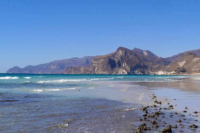Private Tour - Salalah City Tour + the West Coast (Mughsail Beach, Blowholes) - Reviews