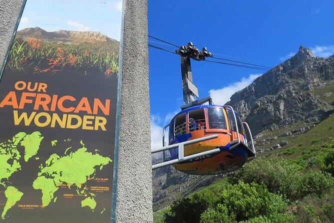 Private Tour Table Mountain Robben Island Two Oceans Aquarium - Additional Information and Recommendations