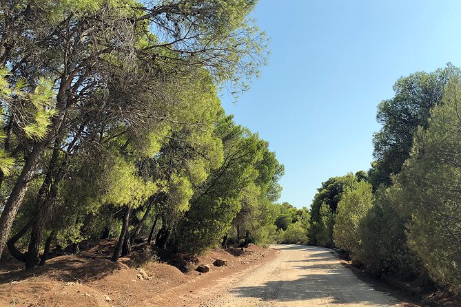 Private Tour to Athens Riviera and Cape Sounion - Inclusions