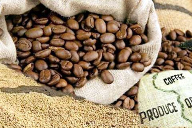 Private Tour to Fairview Coffee Farm in Nairobi With Pickup - Directions