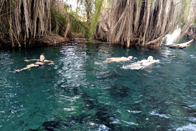 Private Tour to Materuni Waterfalls, Coffee Tour & Kikuletwa Hot Springs - Location and How to Book