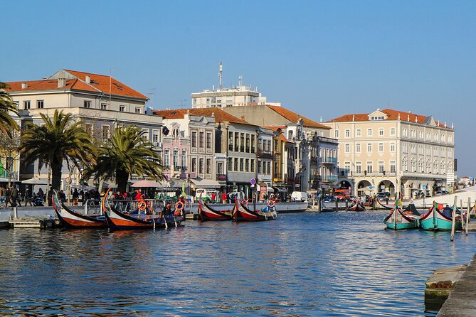 Private Tour to Porto From Lisbon With up to 3 City Stops - Tour Inclusions and Details