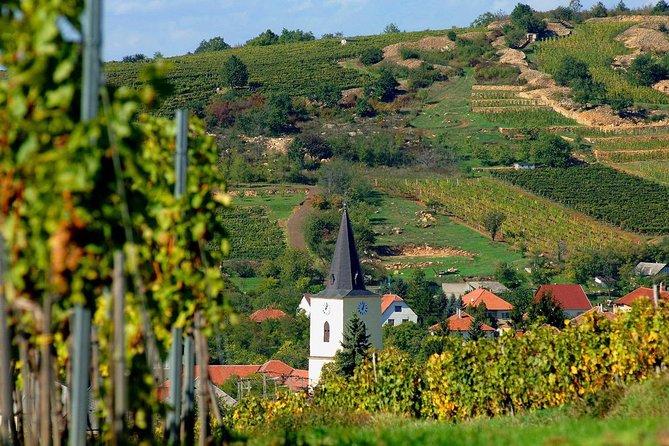 Private Trip to Home of Tokaj Aszu, With Winetasting and Private Guide! - Transportation Information