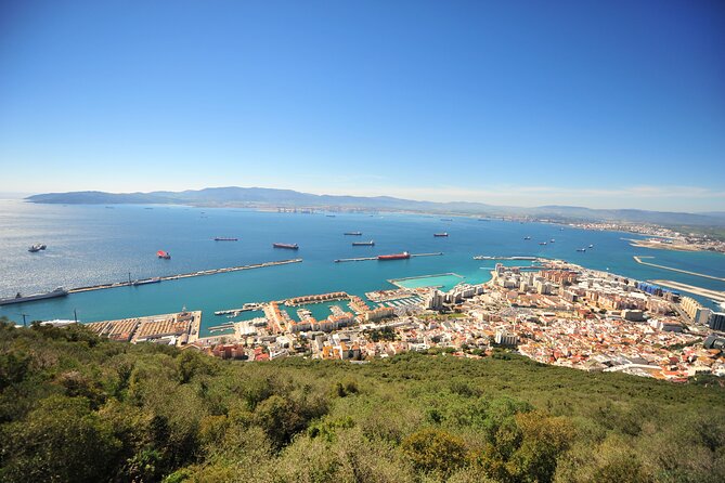 Private Upper Rock Nature Reserve Tour in Gibraltar 1.45hrs - Accessibility and Transportation