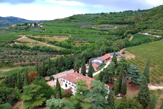 Private Wine Tasting in Mezzane Di Sotto - Booking Details
