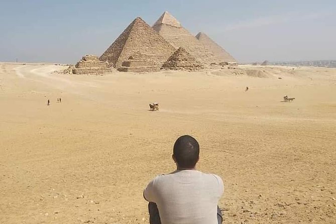 Pyramids of Giza & The Egyptian Museum Tour - Tour Operator Details