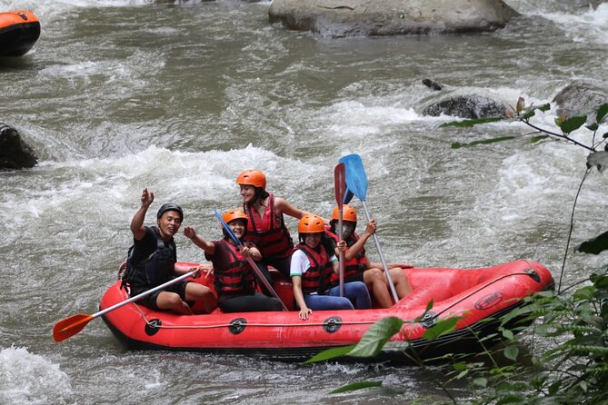 Rafting Swing Monkey Forest And Waterfall Tour All Inclusive