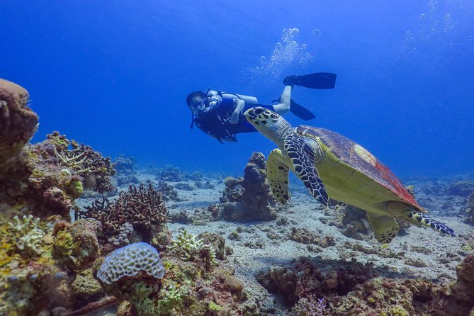 Refresh Dive for Certified Divers - Booking and Cancellation Policies