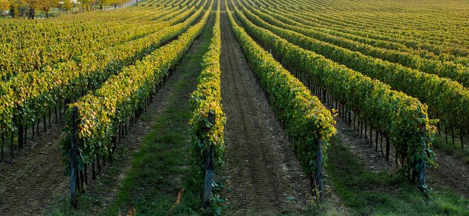 Relaxing Wine Tour With Food & Wine Tasting - Umbria - Meeting and End Point Information