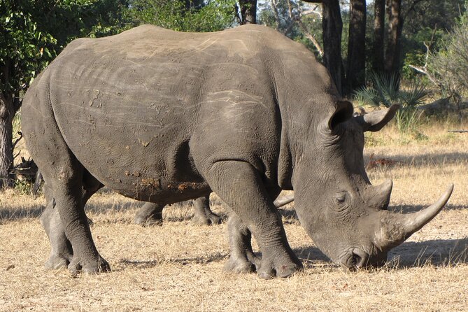Rhino Walk - Additional Notes