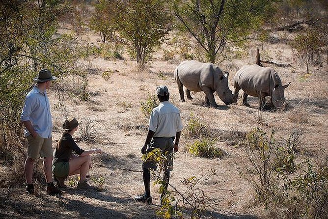 Rhino Walking Safari in the Musi Otunya National Park - Reviews