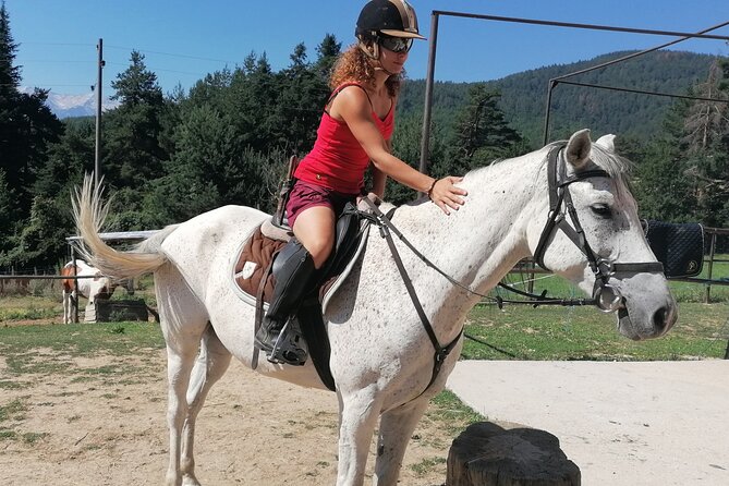 Rila National Park Horse Riding Adventure - Transportation Options