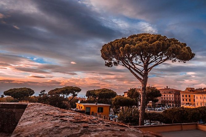 Roman Castles Private Tour From Rome, Lunch Transfer Included - Reservation and Cancellation