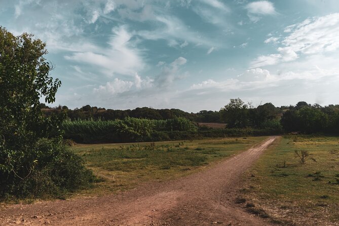 Rome Urban Hike in the Secret Caffarella Park Nature Paradise - Additional Info and Directions