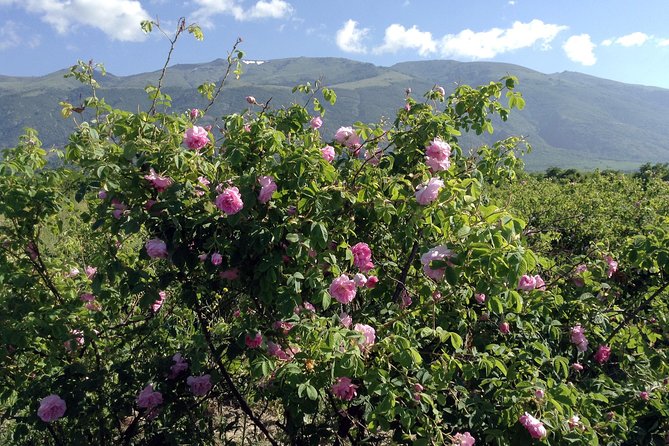Rose Valey Private Day Trip - Itinerary Details