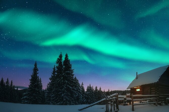 Rovaniemi: Private Aurora Hunting Tour - What To Expect and Cancellation Policy