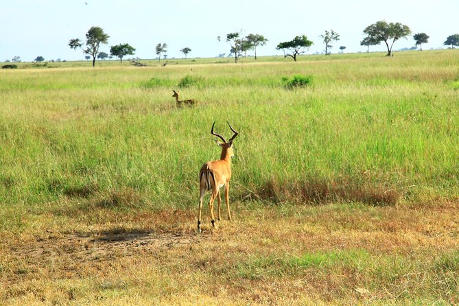 Saadani-Day Trip - Cancellation Policy