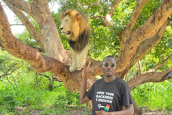 Safari and Walk With Lions in Fathala - Safety Requirements and Accessibility