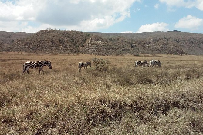 Safari Day Trip – Hell Gate, Lake Naivasha Birds Boat Safari & Crescent Walk - Meeting and Pickup Instructions