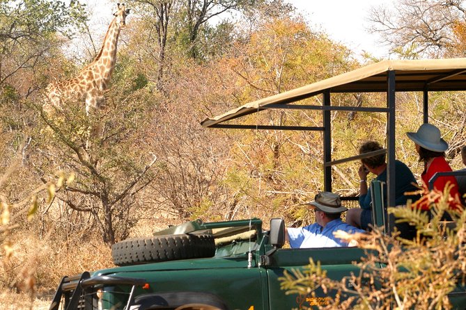 Safari Game Drive in Zambezi National Park With Hotel Pickup - The Sum Up