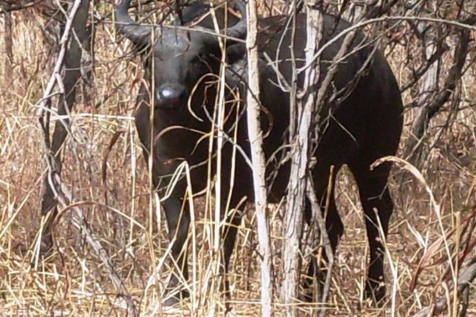 Safari To Fathala, Senegal - Inclusions and Exclusions