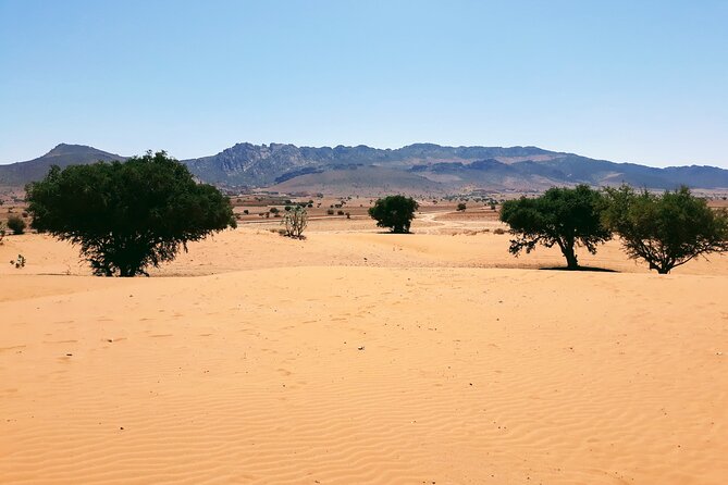 Sahara Desert 2 Days Trip From Agadir - Pickup and Drop-off Information