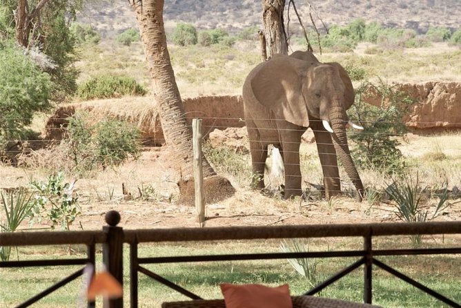 Samburu/ Aberdare/ Lake Nakuru/ Masai Mara 7 Days Safari - Booking Information and Pricing