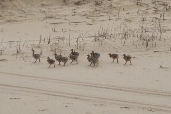 Sandwich Harbour 4x4 Private Guided Tour - Your Very Own Private Tour! - Meeting Points
