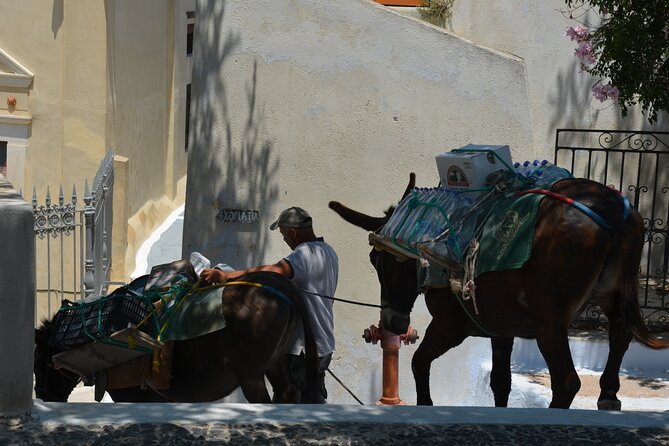 Santorini Donkey Trail Village Exploration Tomato Factory & Wine - Frequently Asked Questions