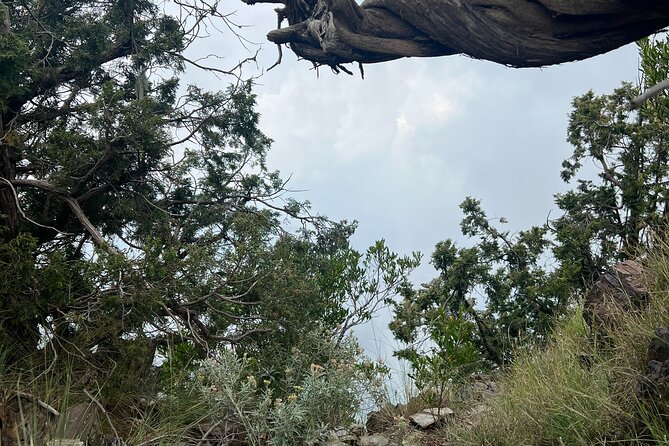 Sawda Mountains Hiking Trail - Frequently Asked Questions