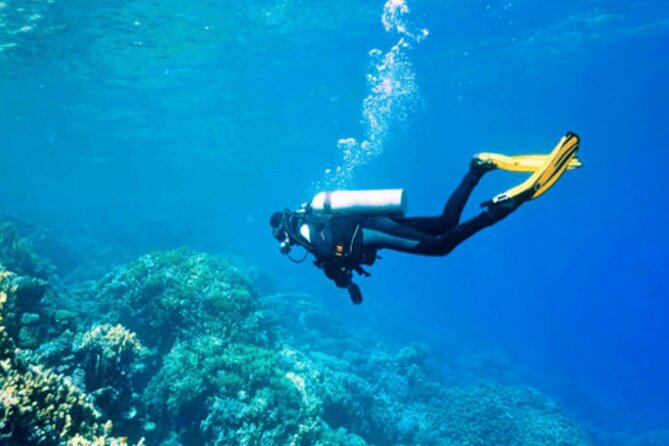 Scuba Diving Experience in Kusadasi With Instructor and Transfer - Booking Information
