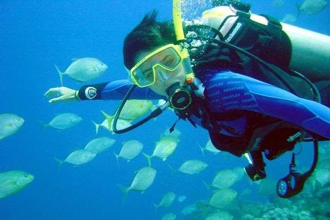 Scuba Diving in Aegean Sea in Kusadasi - Dive Into Crystal-Clear Waters