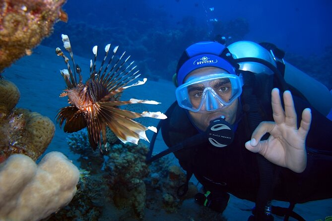 Scuba Diving in Antalya - Pickup Schedule and Details