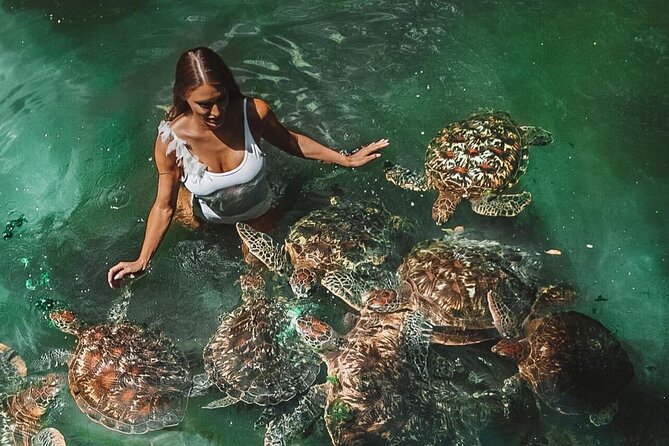 Sea Turtles Aquarium, Fishermans Village and Dhow Sunset Cruise - Marine Life Encounters