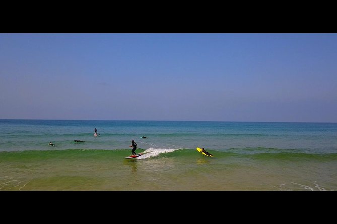 Segway Surf and Oysters! - Directions