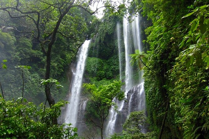 Sekumpul and Banyumala Waterfalls Hiking Tour (Private & All-Inclusive ) - Highlights