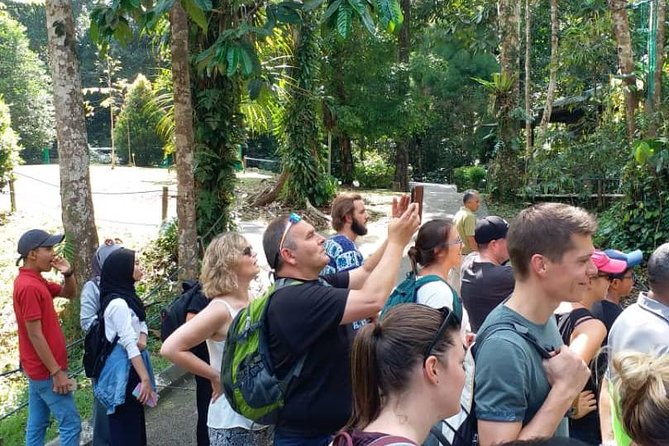 Semenggoh Orangutan Centre From Kuching - Inclusions and Exclusions