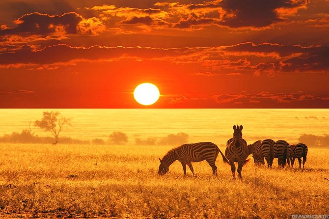 Serengeti & Ngorongoro 3 Days Fly Safari in From Zanzibar - Frequently Asked Questions