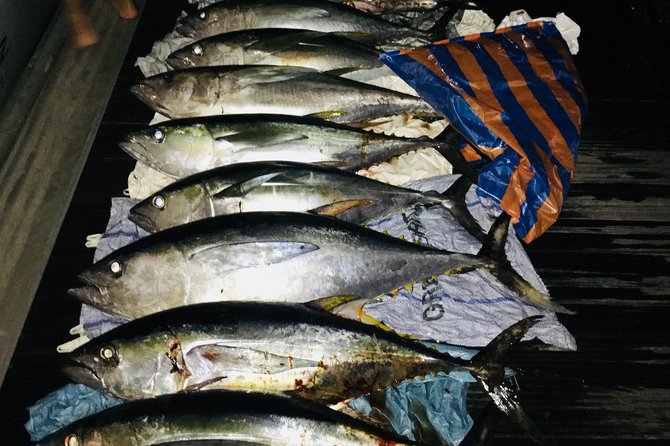 Seychelles Big Game Fishing - Cancellation Policy Information