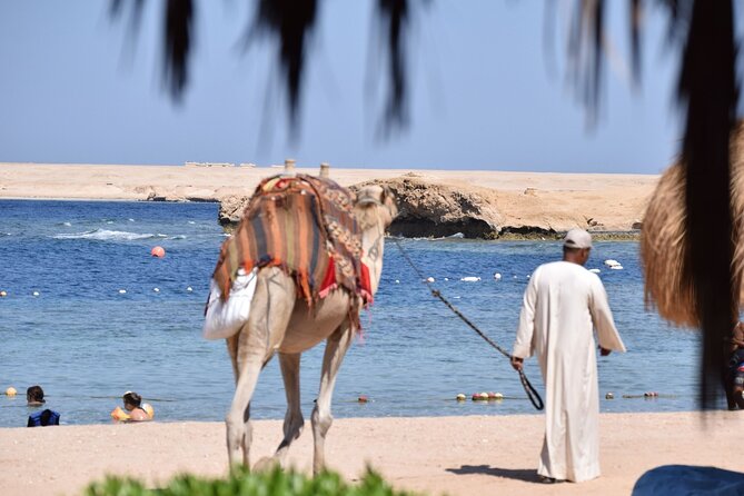 Sharm Elnaga Beach Trip - Price and Payment Options