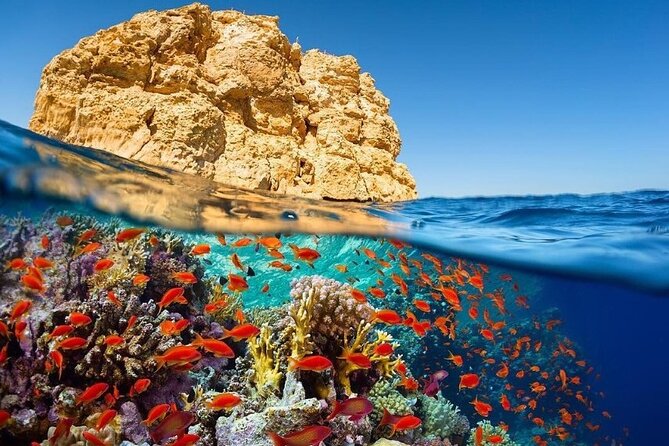 Sheikh Hussein Crossing Private Transfer to or From Aqaba - Review Summary