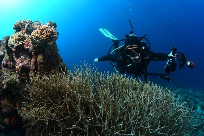 Shore Certified Diving - Two Dives - Important Note