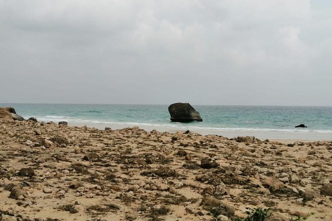 Shore Time at Al Fuzaiyah Beach /Half Day Guided Tour. - Reviews and Ratings