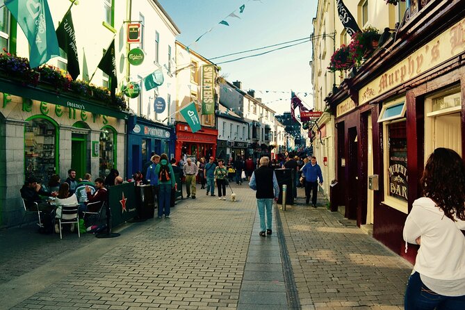 Small Group Cliffs of Moher & Galway Day Trip From Dublin - Booking Information
